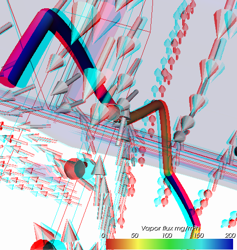 Anaglyph (Stereo) Darstellung der Diffusionsströme vom Wasserdampf in der Simulation einer Wärmebrücke (Sie benötigen Rot/Cyan Brille um die 3D Tiefeneffekte wahrnehmen zu können)